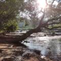 Coorg: Where Nature Meets Serenity at River Edge Retreat